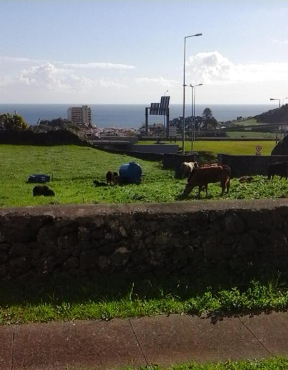Ocean View Flat Apartment Ponta Delgada  Luaran gambar